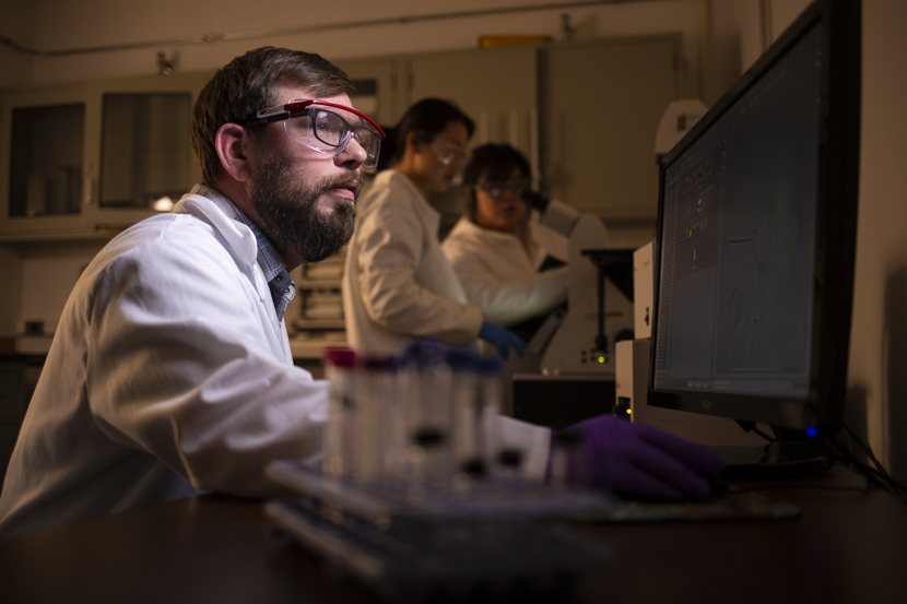 A graduate student examines microscope scans of a compound