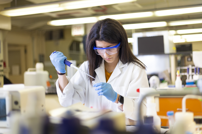 A student conducts research in a BME lab