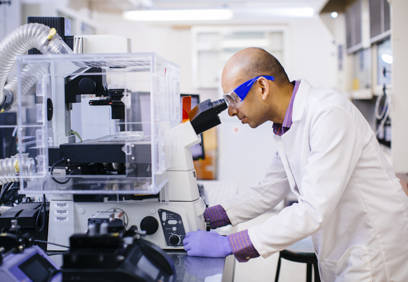 A professor peers through a microscope in his lab at Illinois Tech