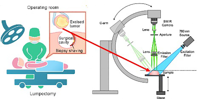 Improved Detection of Insufficient Surgical Margins in Head and Neck Cancer Surgery