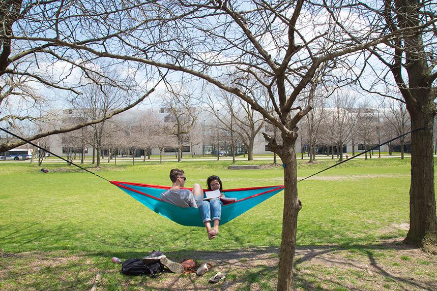 Two students sitting in a hammock on Mies Campus