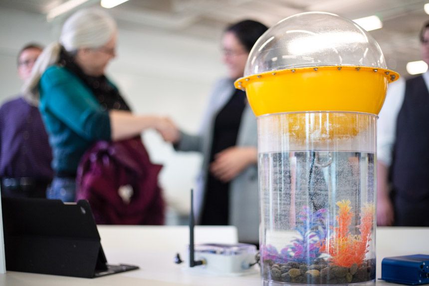 Photo of students making presentations at IPRO day