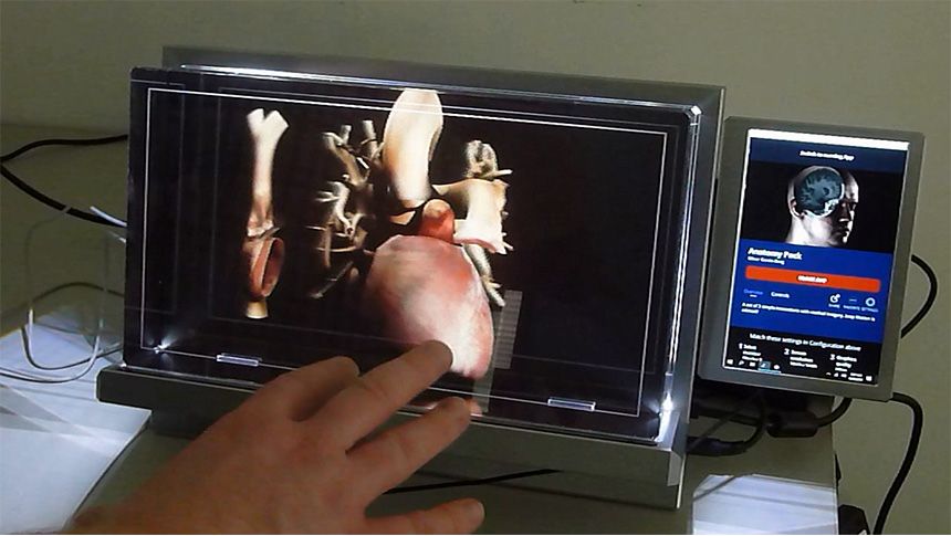 Looking Glass computer screen 3D image of Heart