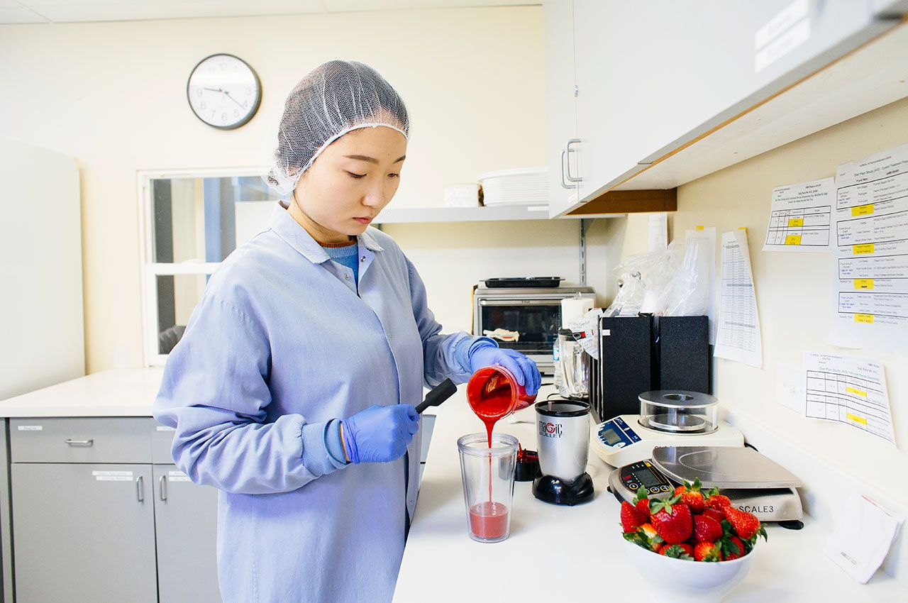 Strawberries research 1280x850