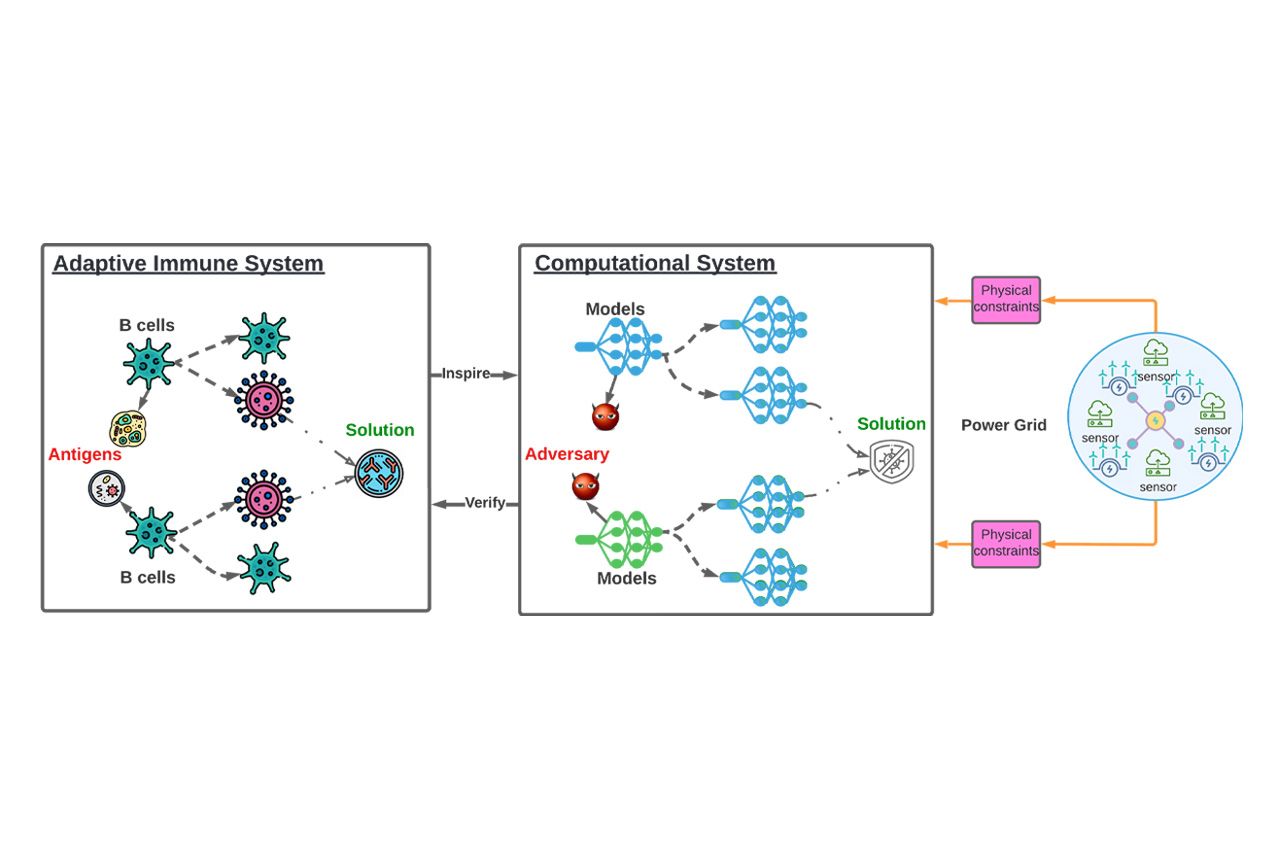 Figure of Adaptive/Computational Immune Systems