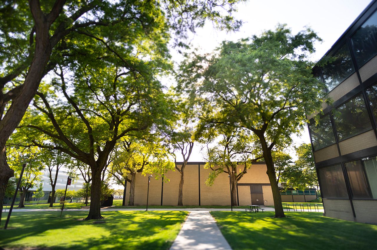 Mies Campus in summer