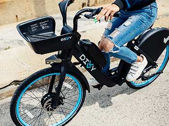 Divvy For Everyone