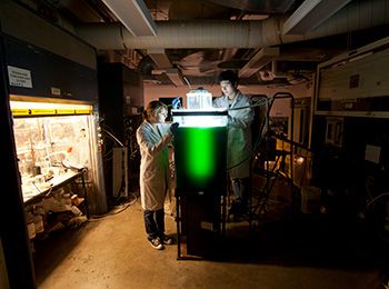 Fouad Teymour algae tanks