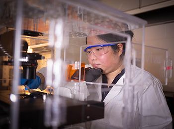 An Illinois Tech student works in the lab