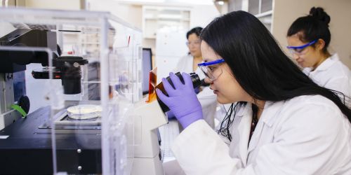 A student peers into a microscope