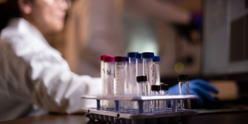 Photo of chemistry student with test tubes working at a computer