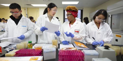 Students prepare cultures in a food science lab