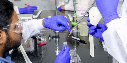 Students in a summer research program perform an experiment.