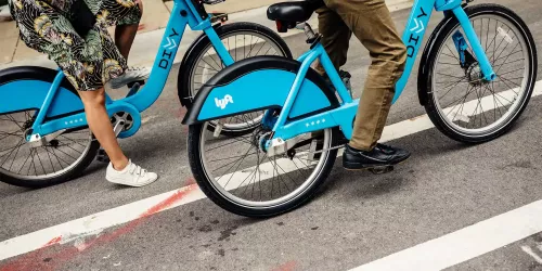 DIVVY for Everyone