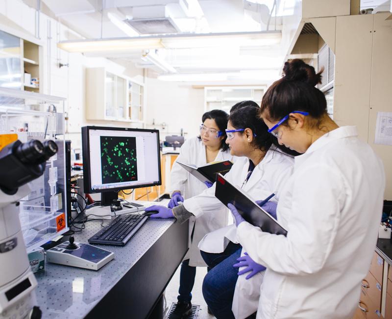 Students gather around a computer screen in a biomedical lab