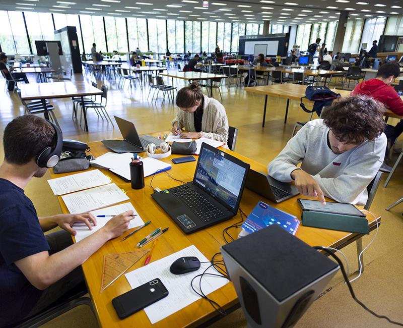 Photo of students studying inside Paul V. Galvin Libary