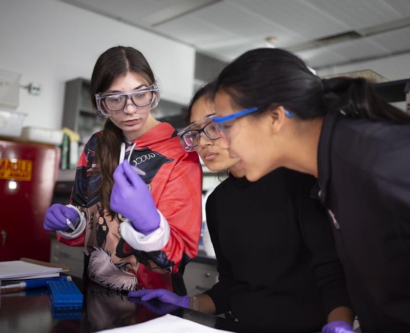 Three students work to create plastic eating algae