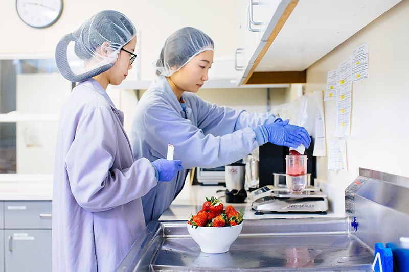 Center for Nutrition Research 800x533