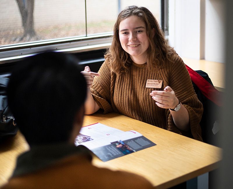 Counselor sitting at desk with student