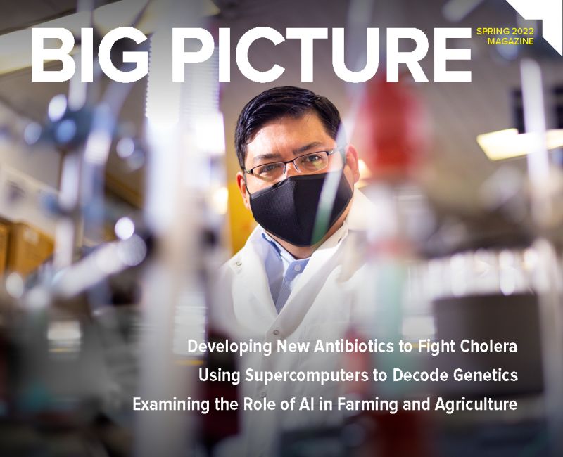 Big Picture Spring 2022