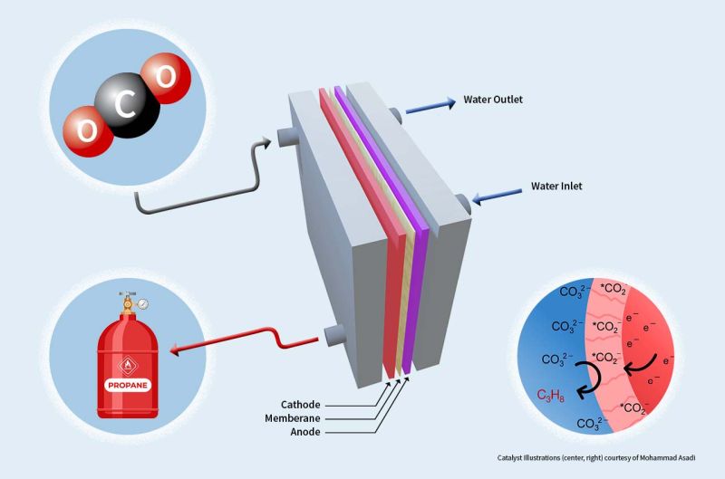 Illustration of Mohammad Asadi's research