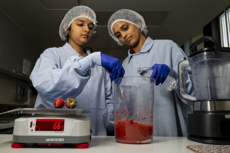 Illinois Tech students work in the Center for Nutrition Research